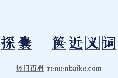 探囊胠箧近义词是什么意思的图片